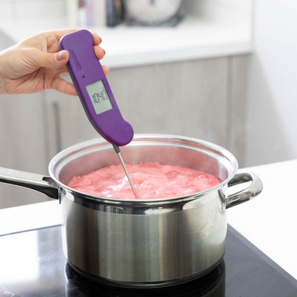 Thermapen ONE Purple