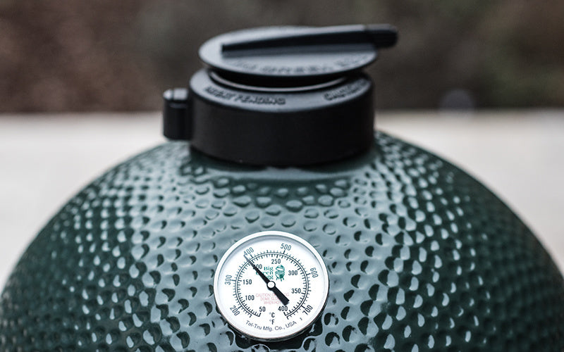 Big Green Egg rEGGulator XXLarge, XLarge Large und Medium