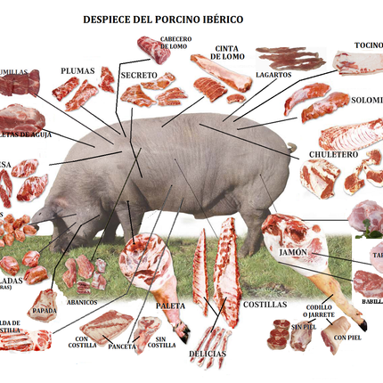 Iberico Frenched Rack (5 Ribs) 2000 gram