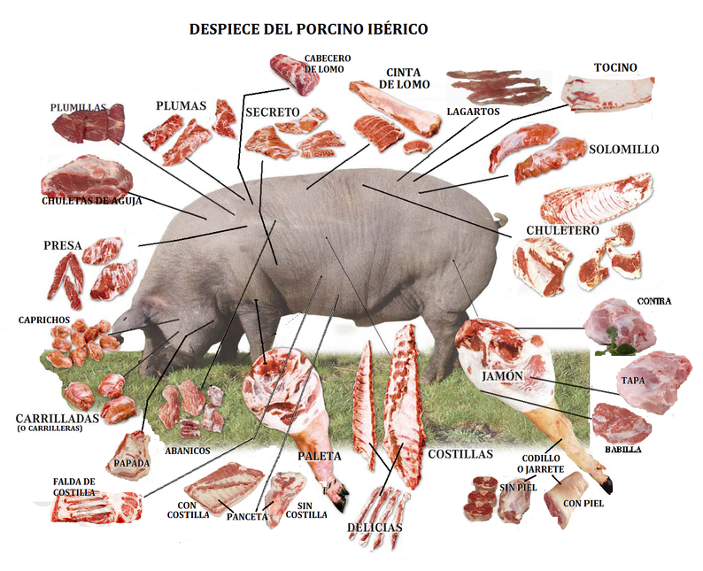 Iberico Frenched Rack (5 Ribs) 2000 gram