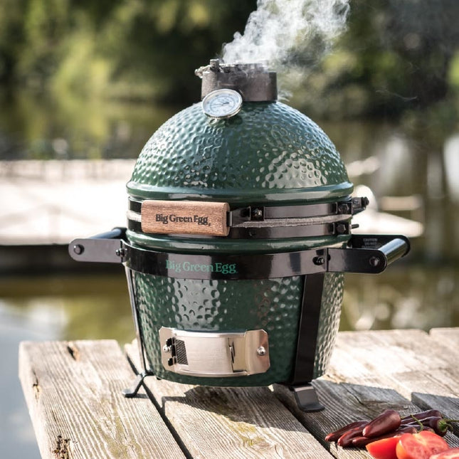 Big Green Egg Mini + Carrier + Cover