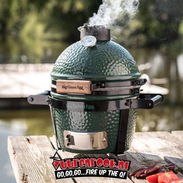 Big Green Egg Mini + Carrier