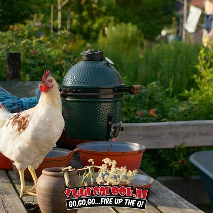 Big Green Egg Standaard RVS Rooster Mini