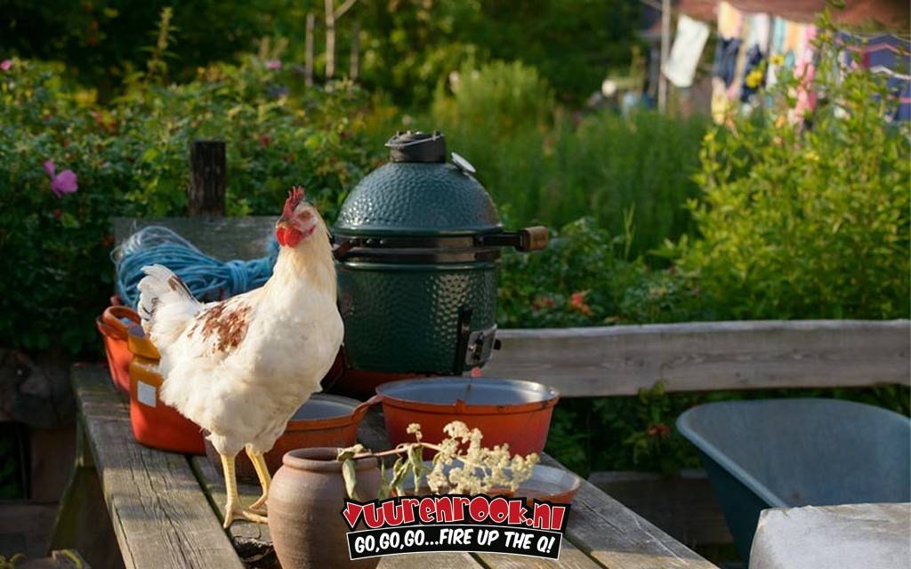 Big Green Egg Standaard RVS Rooster Mini