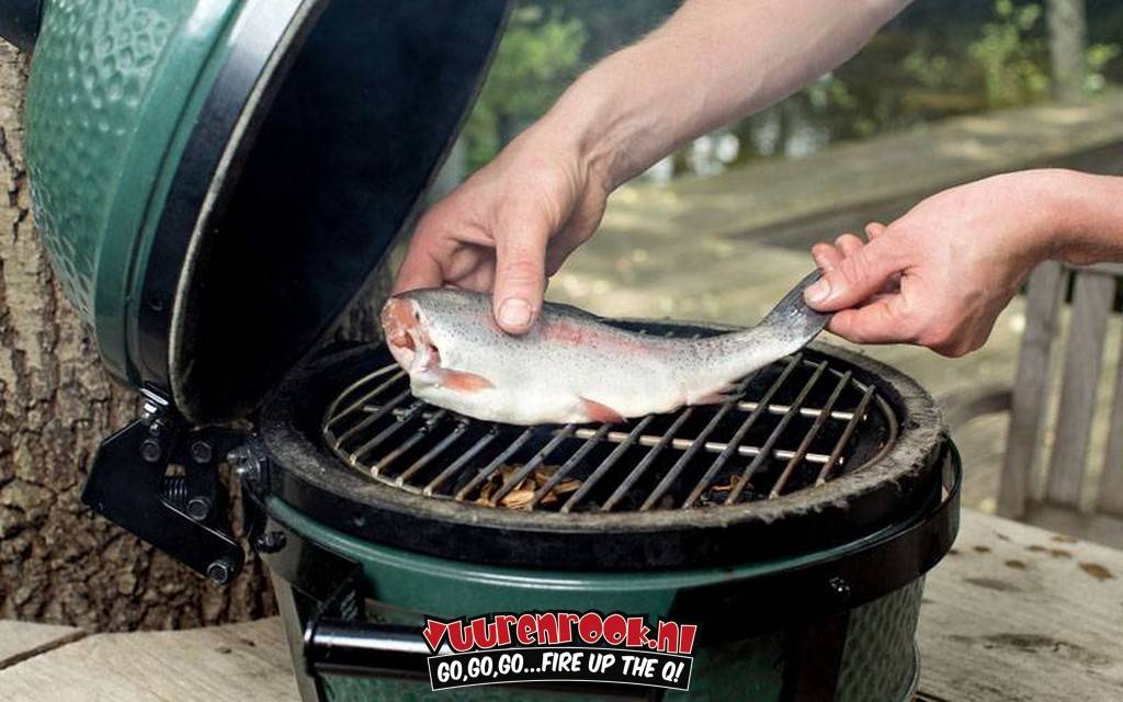 Kamado Joe Half-round Stainless Steel Grill Classic Joe