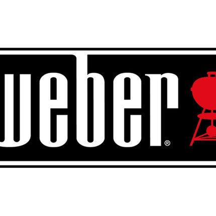 Weber Go Anywhere Onderrooster