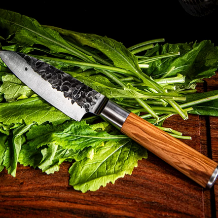 Forged Olive Forged Petty Knife