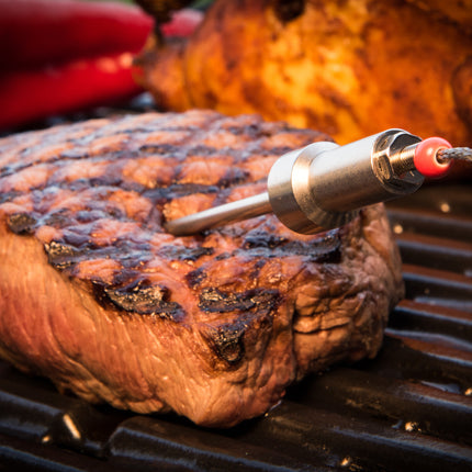 HerQs HerQs BBQ Probe