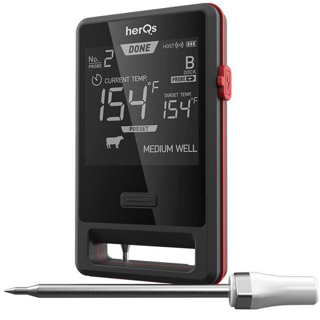 HerQs HerQs Pin Pro Thermometer
