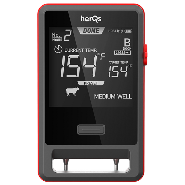 HerQs HerQs Pin Pro Thermometer