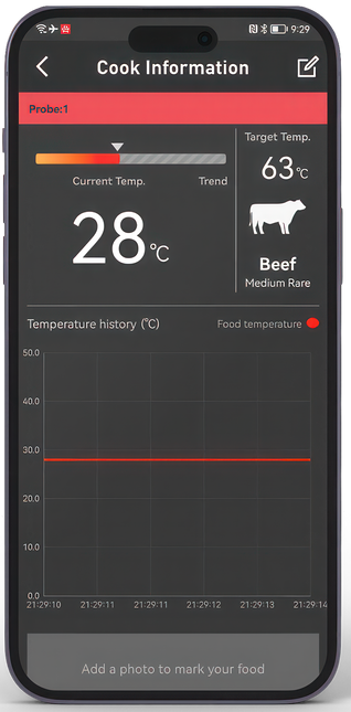 HerQs HerQs Pin Pro Thermometer