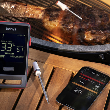 HerQs HerQs Pin Pro Thermometer