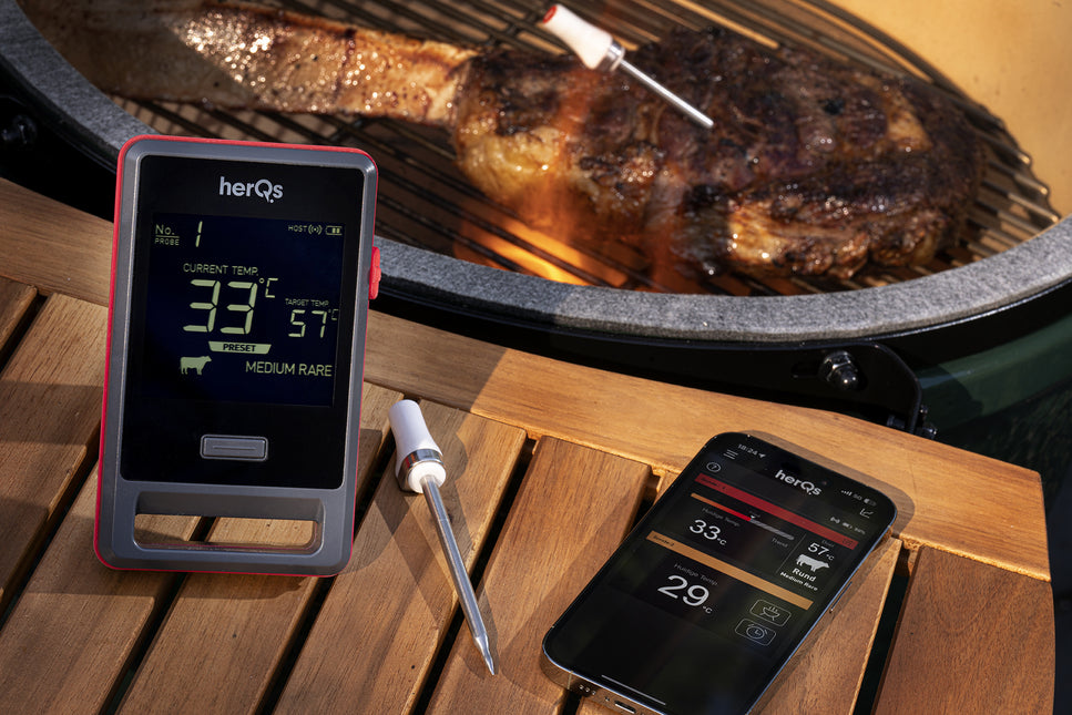 HerQs HerQs Pin Pro Thermometer