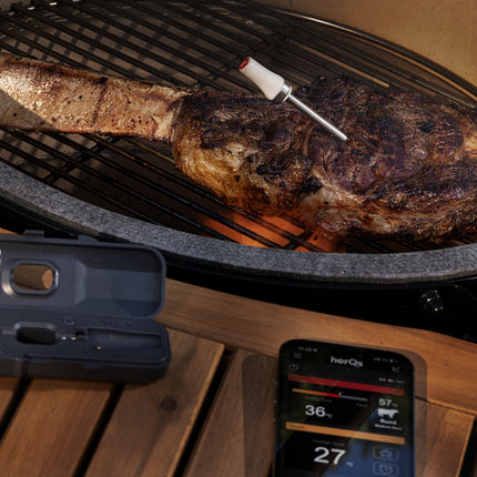 HerQs HerQs Pin Probe