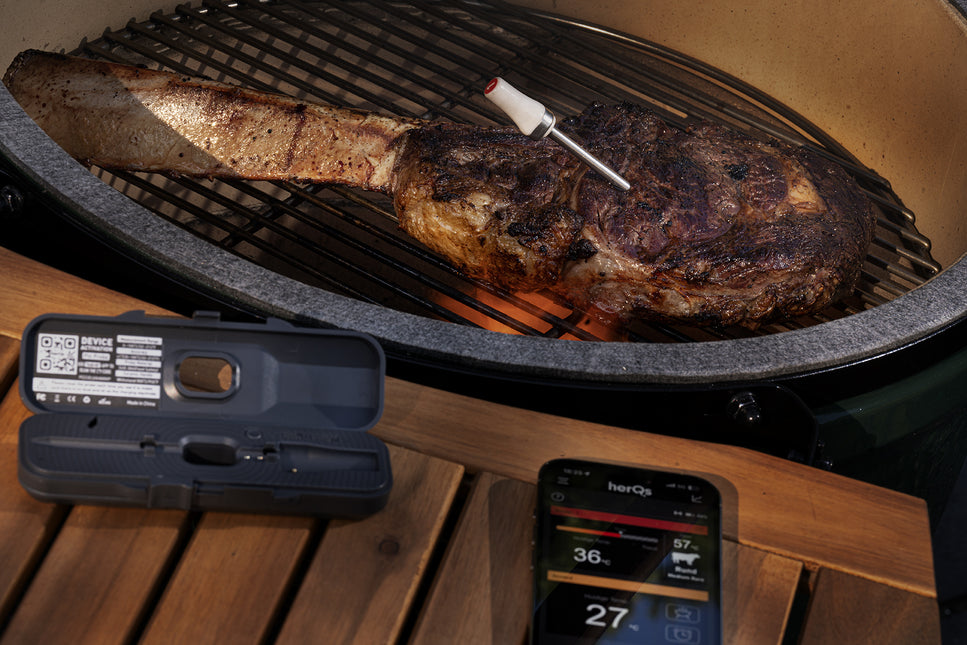 HerQs HerQs Pin Probe