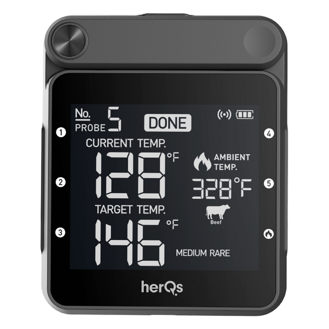 HerQs HerQs Professional Thermometer