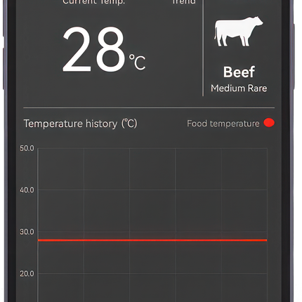 HerQs HerQs Professional Thermometer