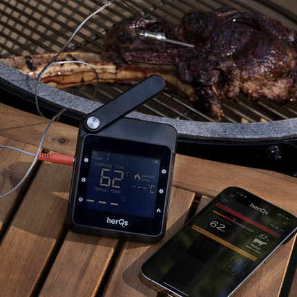 HerQs HerQs Professional Thermometer