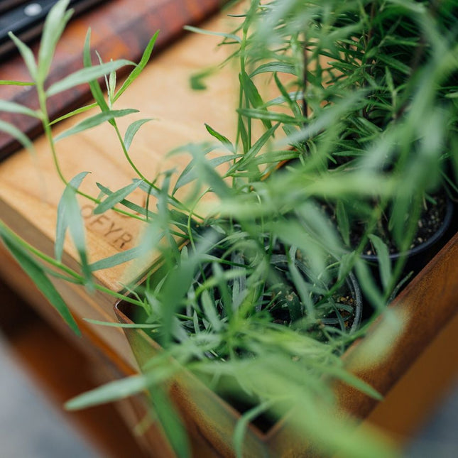 OFYR OFYR Kamado Table Corten 135 PRO KJ