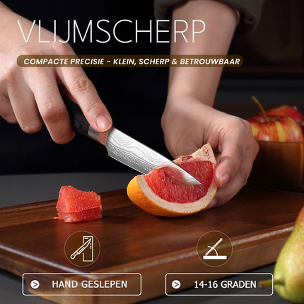 Paudin Paudin Aichi Wave Schilmes 9 cm