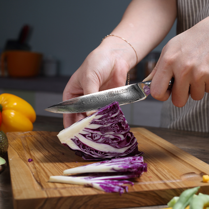 Paudin Paudin Plume Luxe Damascus Universeel Mes 12 cm