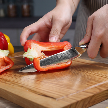 Paudin Paudin Plume Luxe Damascus Universeel Mes 12 cm