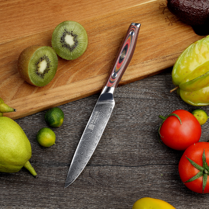 Paudin Paudin Plume Luxe Damascus Universeel Mes 12 cm