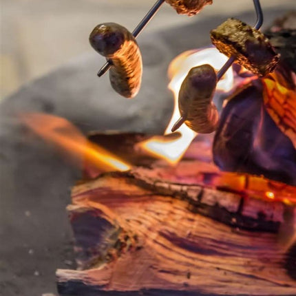 Petromax Petromax Campfire Skewer (2 stuks)