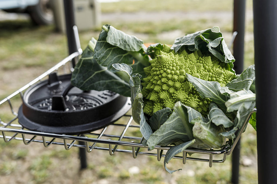 Petromax Petromax Roosterbak  t.b.v Fe45 (40 cm)