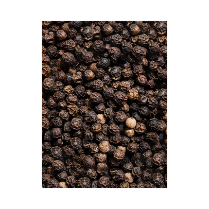 Peugeot Peugeot Vietnamese Peper Tan Hoi