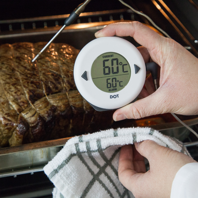 Thermapen ETI Dot Digitale Thermometer