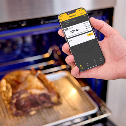 ThermoWorks RFX-GATEWAY™ van ThermoWorks