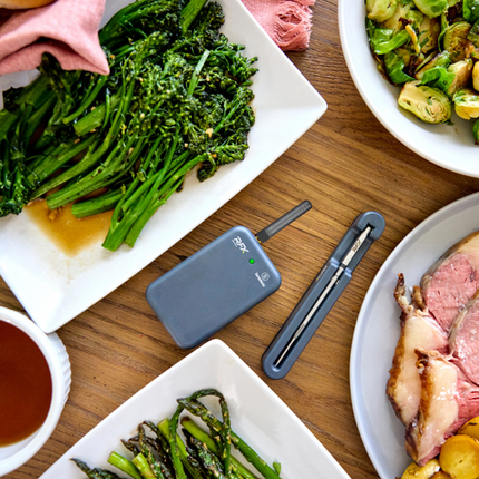 ThermoWorks RFX-GATEWAY™ van ThermoWorks