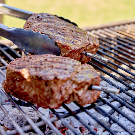 ThermoWorks RFX MEAT™ Wireless Probe van ThermoWorks