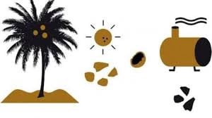 Vuur & Rook Bast kokosbriketten 2.4 kg (Tubes)