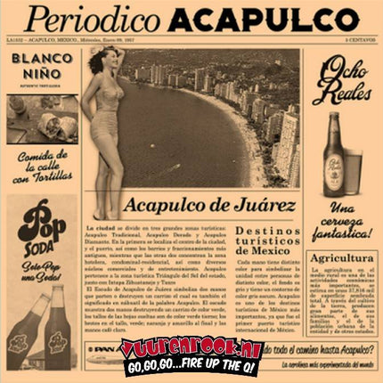 Vuur & Rook Catering Vet Vrij Papier Serveer Krant Bruin 1000 stuks