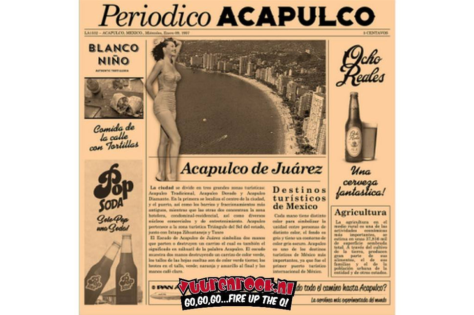 Vuur & Rook Catering Vet Vrij Papier Serveer Krant Bruin 1000 stuks