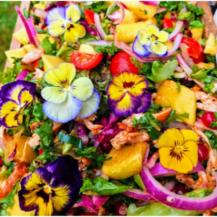 Vuur & Rook Partyfood & Fingerfood Workshop