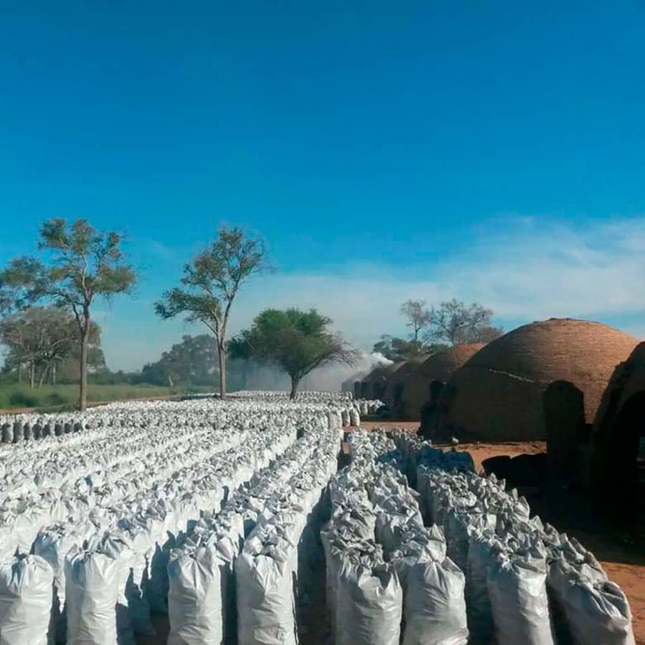 Vuur & Rook Unbranded White Quebracho Restaurant Charcoal 10 kg