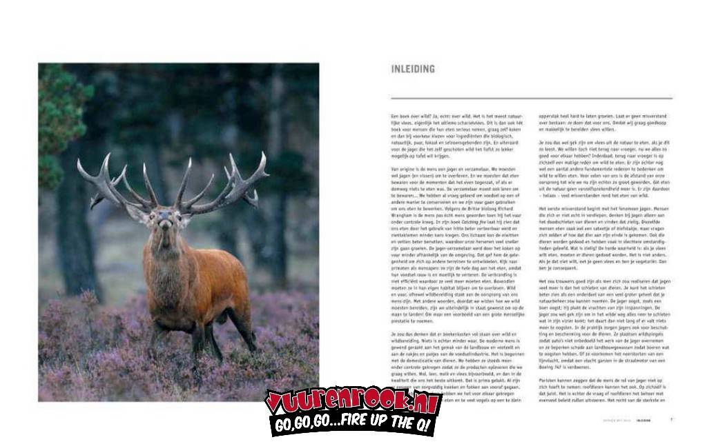 Vuur & Rook Werken met Wild