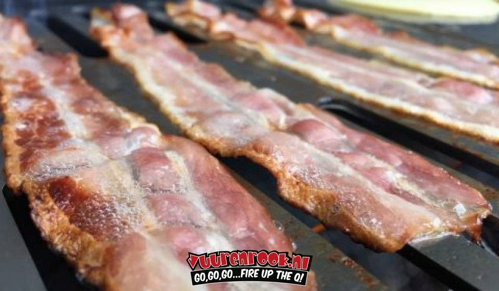 Weber RVS  Rooster tbv Weber Go Anywhere