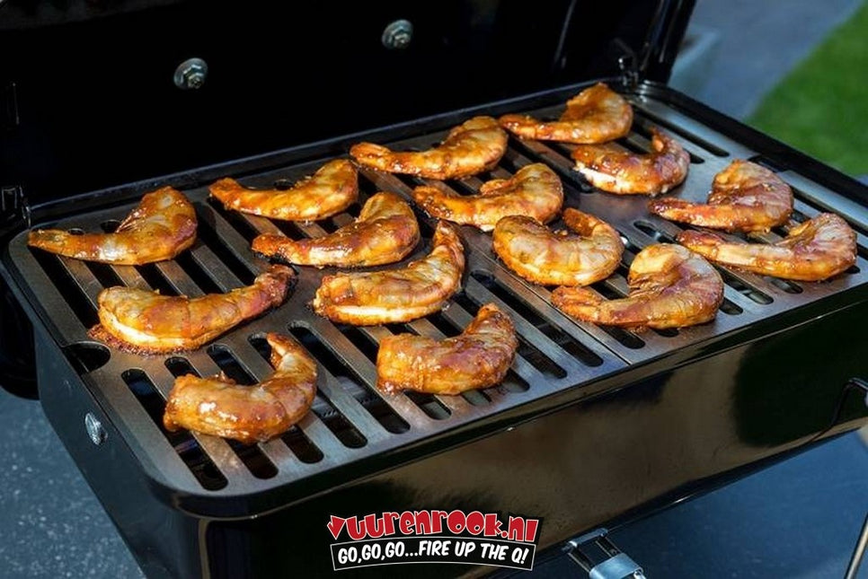 Weber RVS  Rooster tbv Weber Go Anywhere